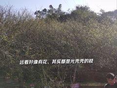 -广东天露山旅游度假区
