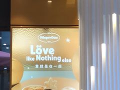 -哈根达斯(武汉天地店)