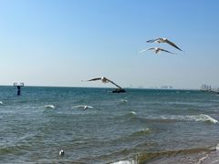 -北戴河东海水浴场