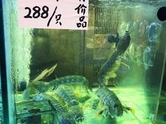 -凤城礼记鱼翅海鲜酒家(新马路总店)