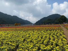 -广州市石门国家森林公园