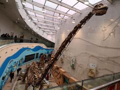 -陕西自然博物馆