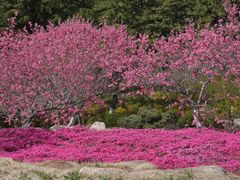 -石岛赤山风景区