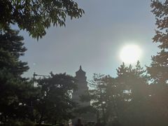 -大慈恩寺(大雁塔)