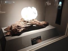 -杭州工艺美术博物馆
