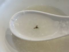 明火白粥-虾饺妹·粤式手工点心(水荫路店)
