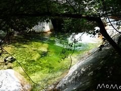 -青峰峡国家森林公园