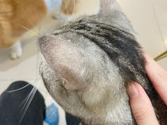-平行世界·猫咖(首经贸店)