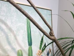 -杨丹国际美学肌研所