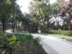 -上海市保健医疗中心(华东疗养院)