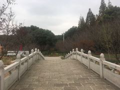 -苏州上方山国家森林公园