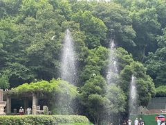 -音乐台