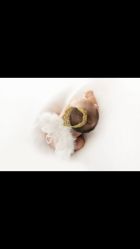 点击看大图 -熊孩子韩国儿童摄影(利波苑店)