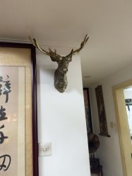 -冰岛刺青·手工耳饰品售卖·专业纹身