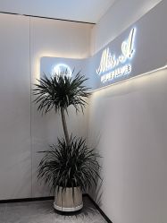 -Miss·A日式美甲美睫