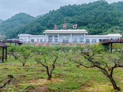 -河口景区