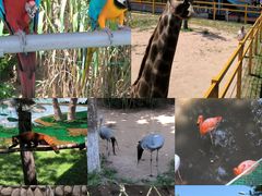 -西霞口神雕山野生动物世界