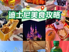 -上海迪士尼度假区