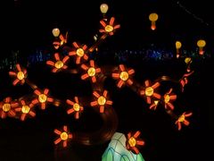 -淄博花灯齐彩城