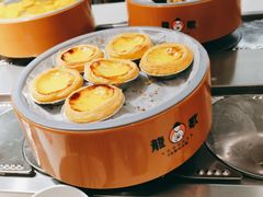 -龍歌自助小火锅(市南金茂湾店)