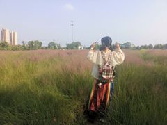 -映月湖中央公园
