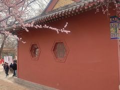 -桃花堤公园