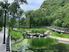 -白水寺森林公园