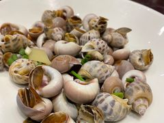 香螺拼花螺-健眺小海鲜(临海后山店)