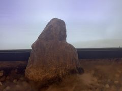 -上足·影院足道·SPA(红岭店)