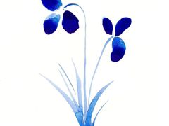 -赞记龙凤礼饼(宝源路店)