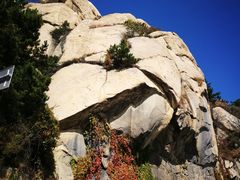 -青岛崂山太清宫