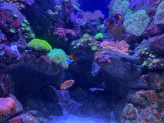 -成都浩海立方海洋公园