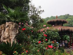 -东湖落雁景区