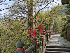 -武当山风景区