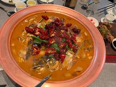 -柿合缘新京菜(国金中心商场店)
