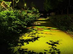 -上海杨姆庄园