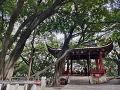 -乌山风景区
