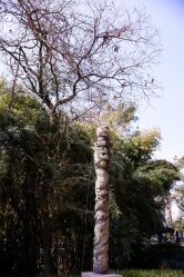 -爱尔乐美孕产瑜伽·普拉提