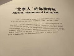 -北京周口店北京人遗址博物馆