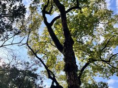 -阳澄湖半岛旅游度假区