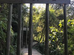 -南丹山森林王国