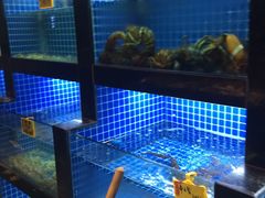 -徽三说·土徽菜·中国徽菜连锁品牌(一中店)