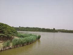 -塘沽森林公园