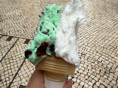 -柠檬车露(卖草地店)