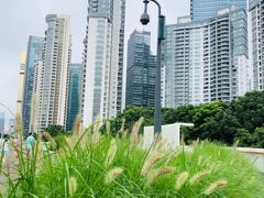 -诺莱仕游艇会