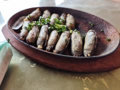 -晓琦农家菜馆·地道农家菜