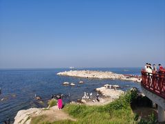 -养马岛旅游度假区
