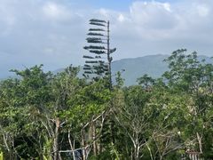 -亚龙湾中心广场