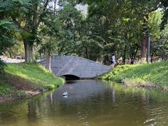 -长白岛森林公园