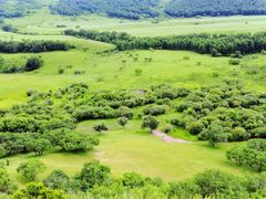 -塞罕坝国家级自然保护区